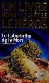 Un livre dont vous êtes le héros - Click to enlarge picture.