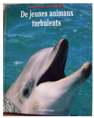 De jeunes animaux turbulents - Click to enlarge picture.