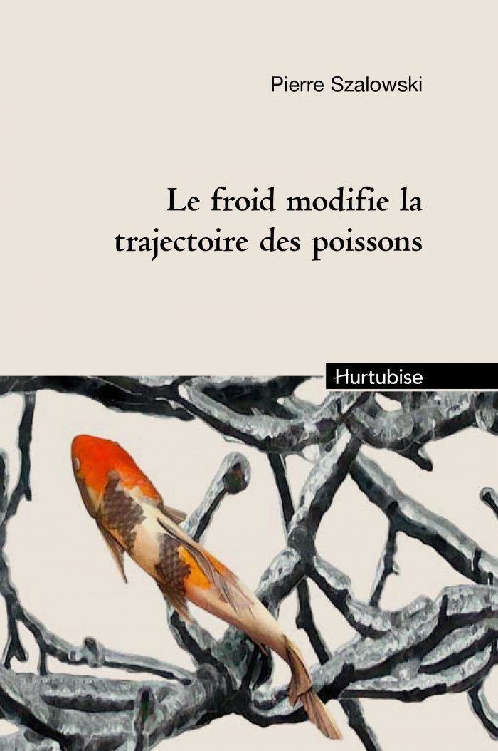 Le froid modifie la trajectoire des poissons - Click to enlarge picture.