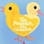Un poussin, un caneton - Click to enlarge picture.