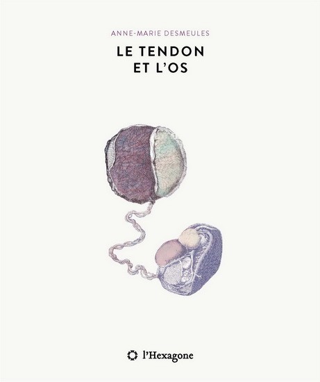 Le Tendon Et L'os - Click to enlarge picture.