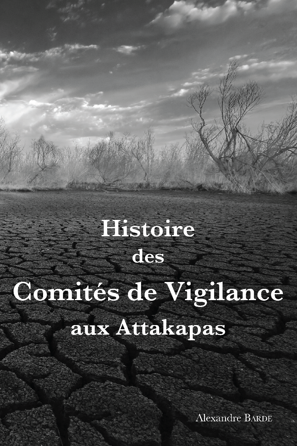 Histoire des Comités de Vigilance aux Attakapas - Click to enlarge picture.