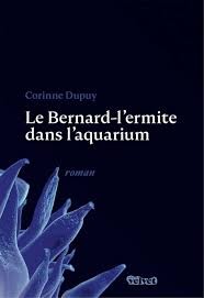 Le Bernard-l'ermite dans l'aquarium - Click to enlarge picture.