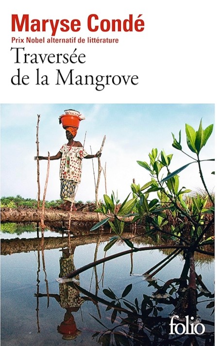 Traversée de la Mangrove - Click to enlarge picture.