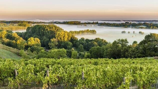 Wine Loire Valley Seminar