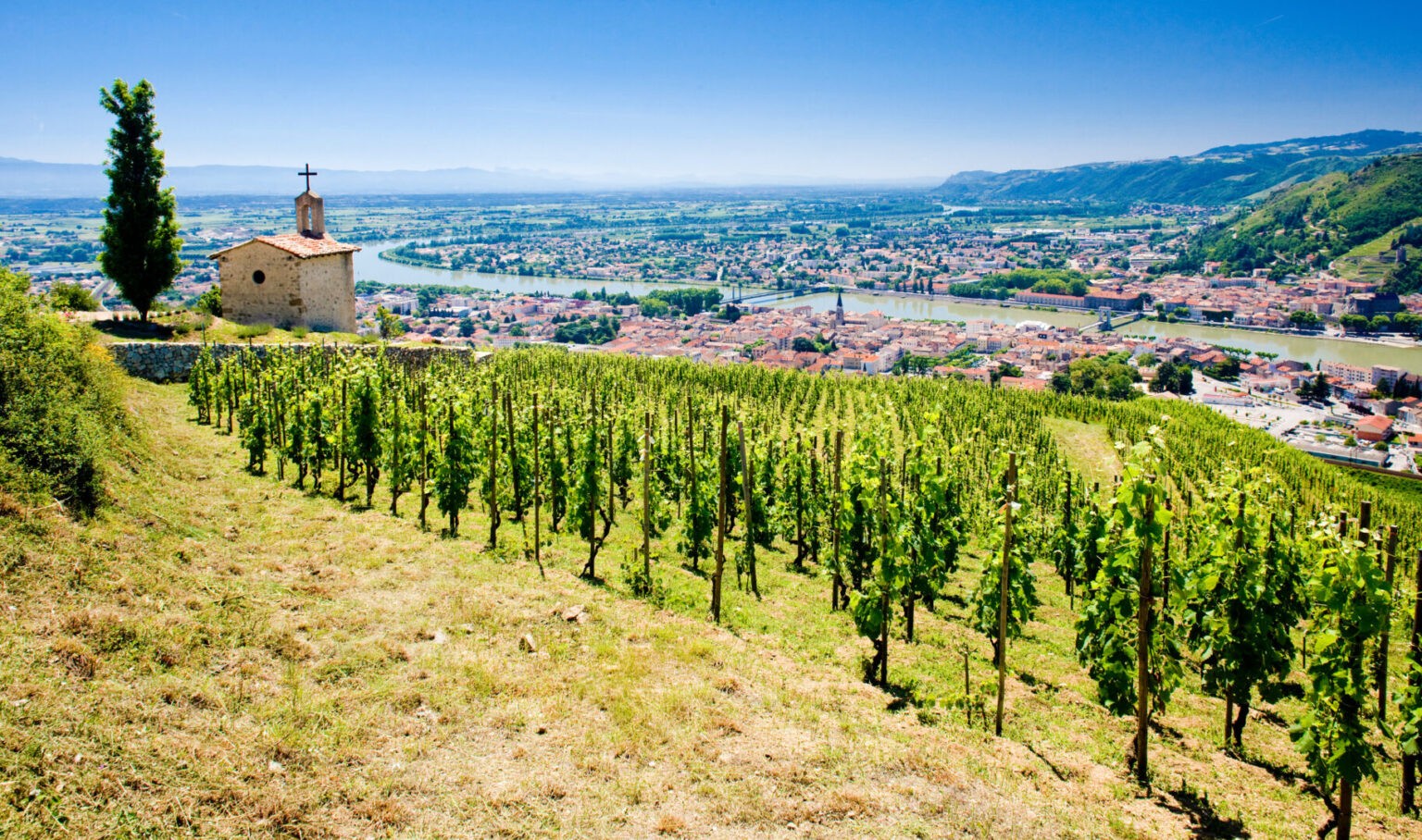 Discover Rhône Wines: Exploring a Legendary Wine Region
